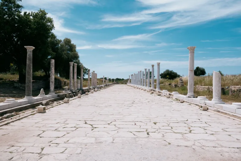 Every Road Has Always Had a Landlord: The Ancient Logic of Taxing Movement